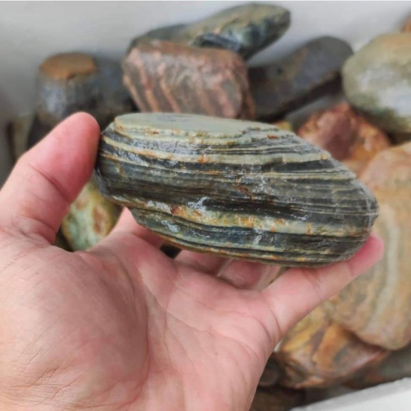 Đá cụi văng màu tự nhiên, chuyên set up hồ thủy sinh, bể cá - 1kg ( 3 đến 4 cục nhỏ )