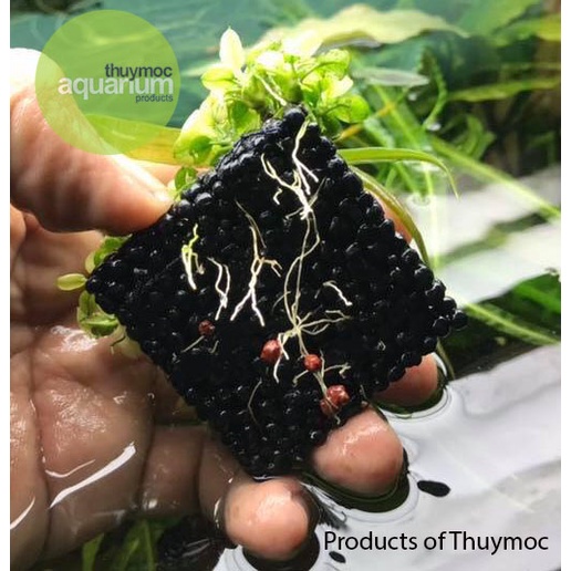Giá thể trồng cây NuTriPad 5x5cm (Hộp 5 miếng) - Chuyên dụng hồ cá thuỷ sinh THỦY MỘC