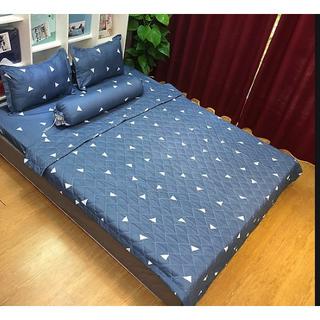 Bộ ga gối kèm vỏ gối ôm poly