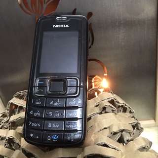Nokia 3110