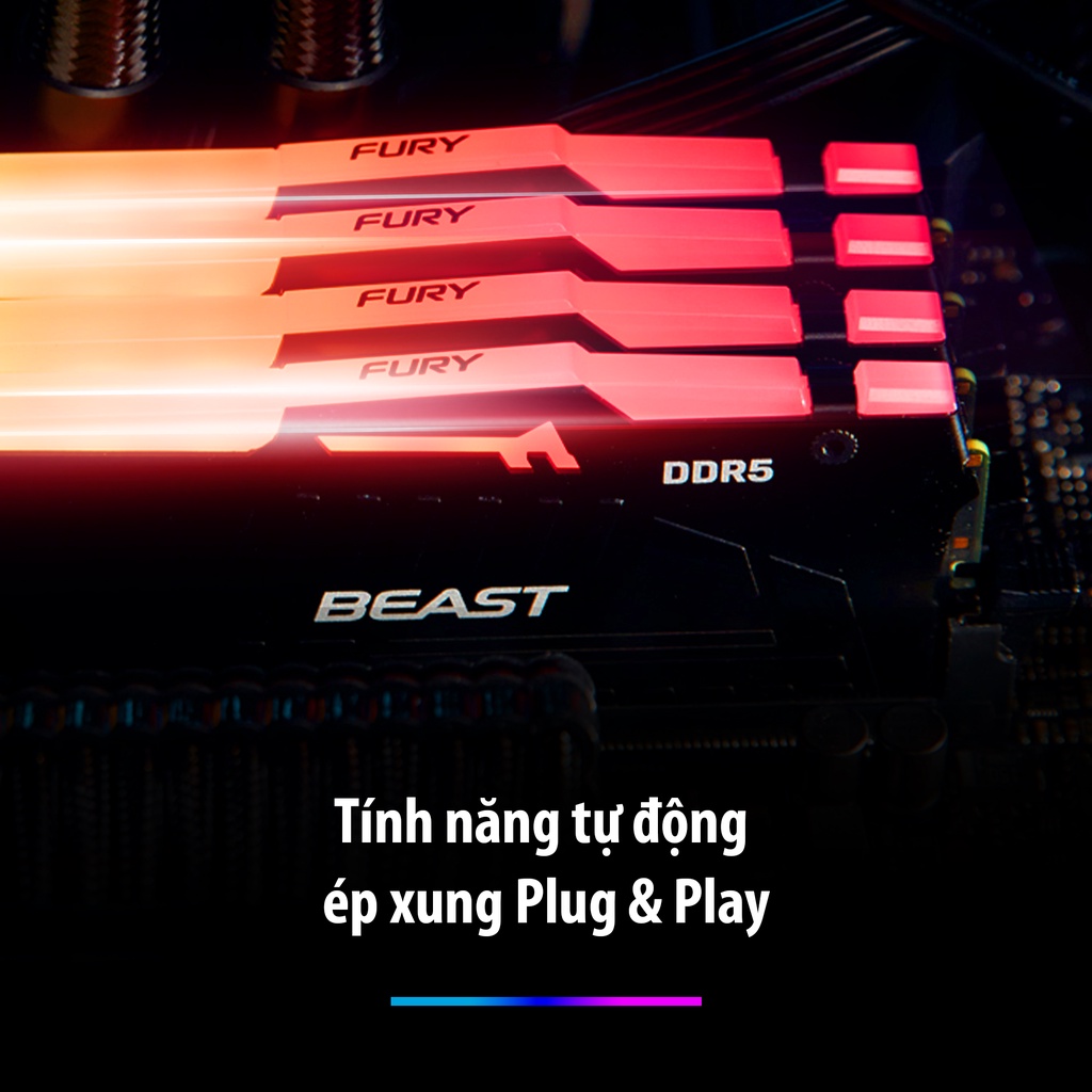 Ram Kingston Fury Beast DDR5 RGB 4800MT/s 32Gb (Kit 2*16Gb)