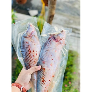 Cá thác lác rút xương (1 con 350-370g đóng hút chân không)