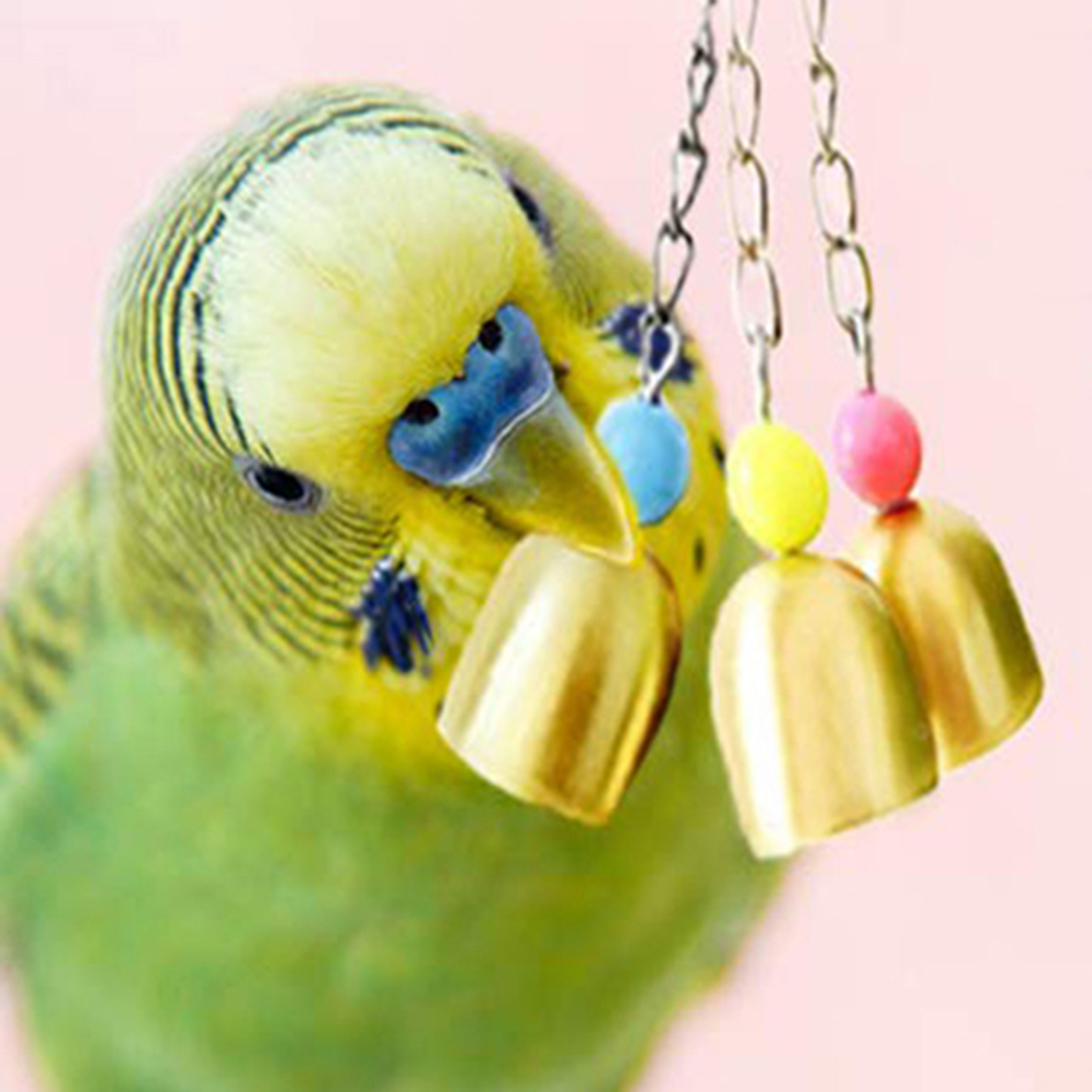 brittany Pet Bird Parrot Pigeon Hanging 3 Bell Chain Cage Stand Bite Playing Sound Toy