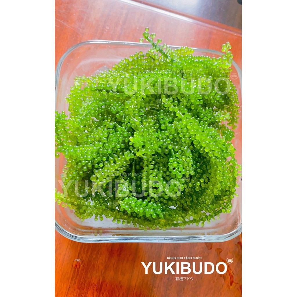 [KHUYẾN MẠI SOCK] Rong Nho Tách Nước Yukibudo Organic Khánh  Hòa, Loại 25g Tặng 1 Gói Xốt Kewpie | BigBuy360 - bigbuy360.vn