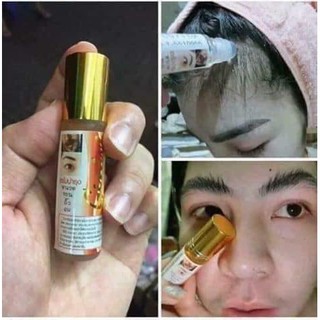 Lăn mọc mày dài mi
