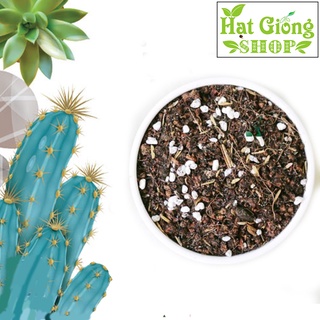Đất trồng Sen đá,Xương rồng ( túi 500gram )