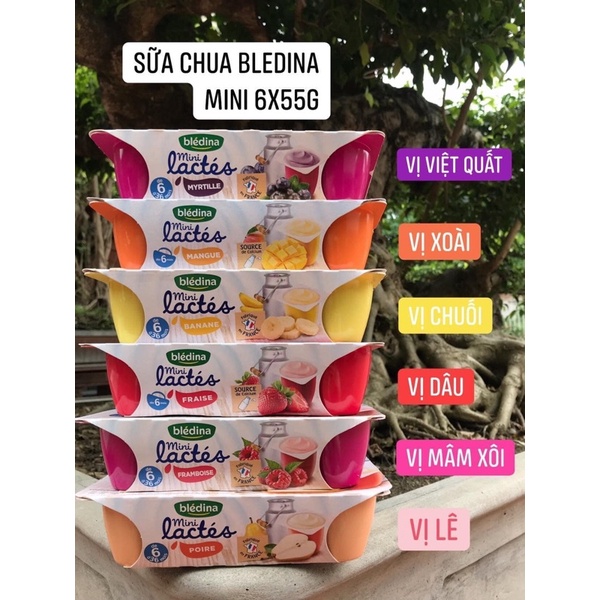 🍀 SỮA CHUA NGUỘI BLEDINA 6 hộp x 55g ⚡ FREESHIP ⚡ Thức ăn bổ sung cung cấp dưỡng chất và vitamin cho bé từ 6m 🍀