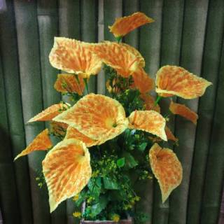 Aron Hoa Tháo Lắp Lắp Đặt Không Có Bình Hoa