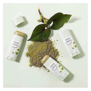 Thanh lăn mamonde diếp cá