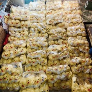 Dép vịt thái lan 32 đôi