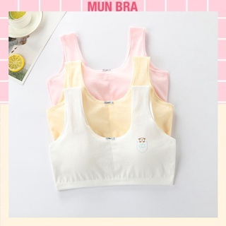 Áo lá học sinh cấp 1 cấp 2 cấp 3 có mút mỏng chất cotton mềm mại thoáng mát A31