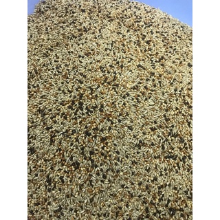 HẠT TRỘN YẾN HÓT…{ Gói 1kg }