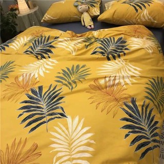Set chăn ga gối cotton poly nhập