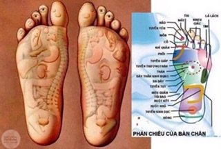 Đèn đá muối Himalaya