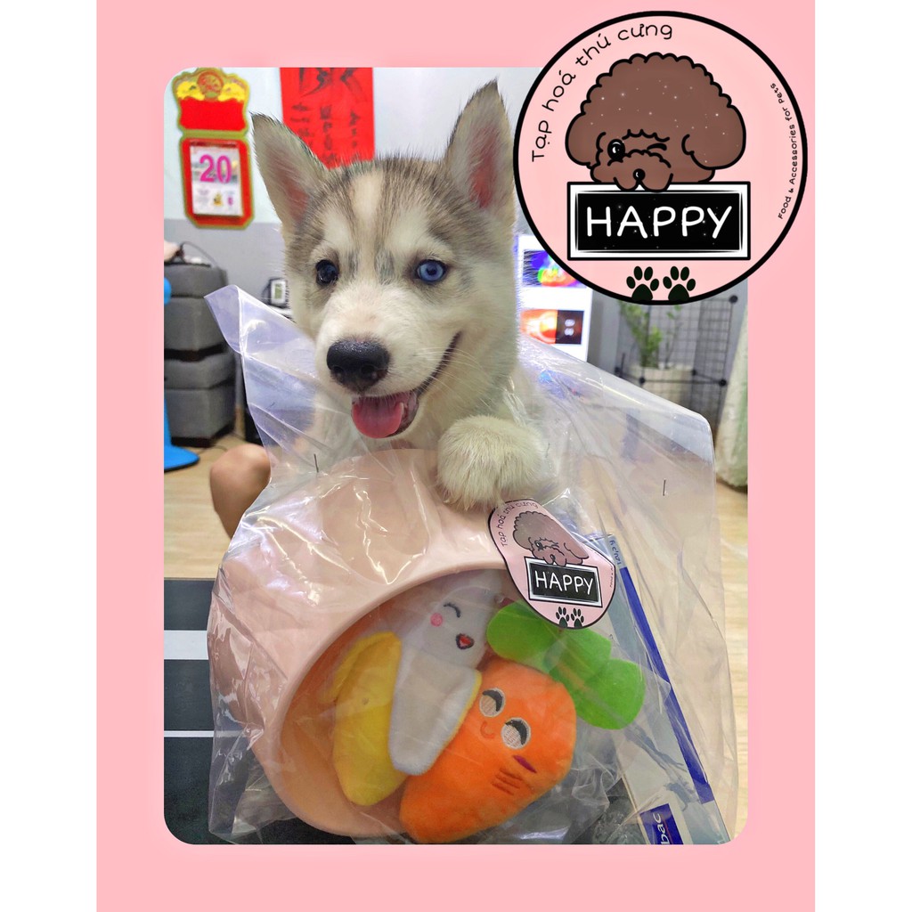 HOẢ TỐC | Đồ chơi nhồi bông chút chít cho thú cưng / Gấu bíp bíp cho chó xoài kiwi cà rốt bơ bánh mì dưa hấu ớt cà tím