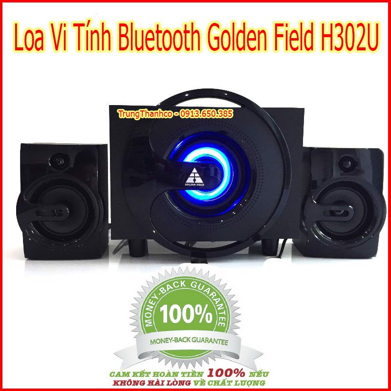 Loa Vi Tính Bluetooth Golden Field H302U
