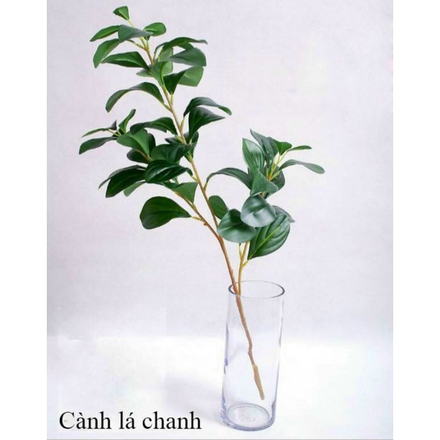 Cây giả cành lá chanh lá giả trang trí nhà cửa bền đẹp