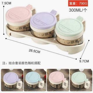 Bộ 3 hủ đựng gia vị lúa mạch