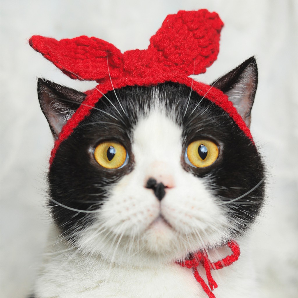 Cài tóc nơ cho chó mèo - Khăn đỏ tại TP. Hồ Chí Minh