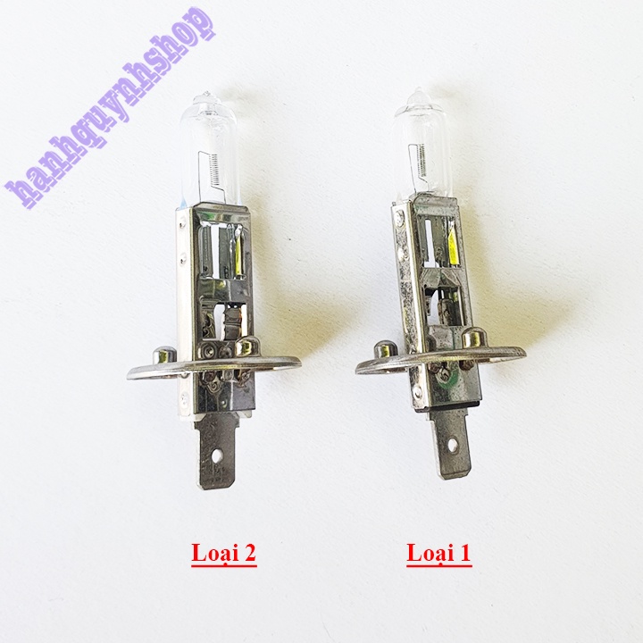 Bóng đèn ô tô H1 12V 55W con cú Nam Yung