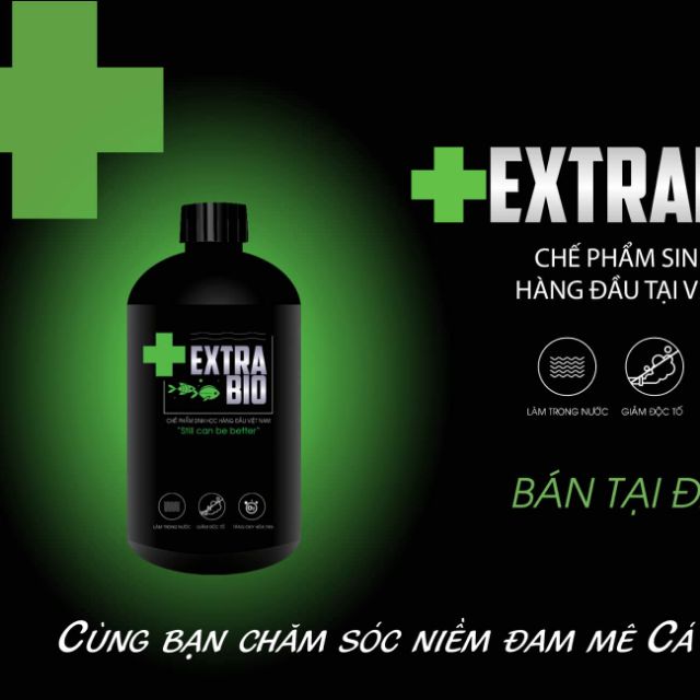 Thế Giới Cá Cảnh