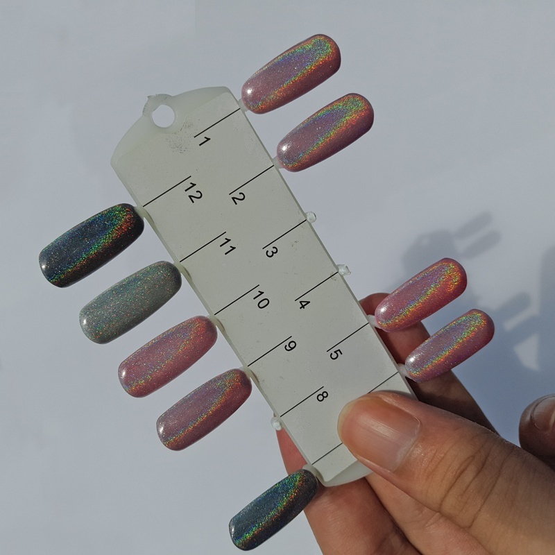 Hộp Bột Kim Tuyến Hishop Trang Trí Móng Tay Nghệ Thuật Chuyên Dụng Chất Lượng Cao