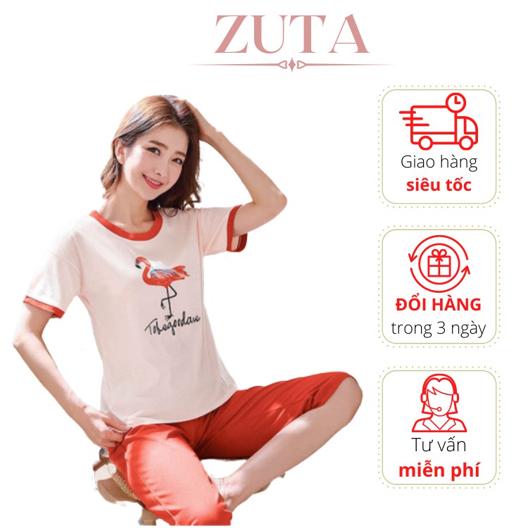 Đồ Bộ mặc nhà nữ cộc tay mùa hè cotton thung thoáng mát Pijama cao cấp mã BB02