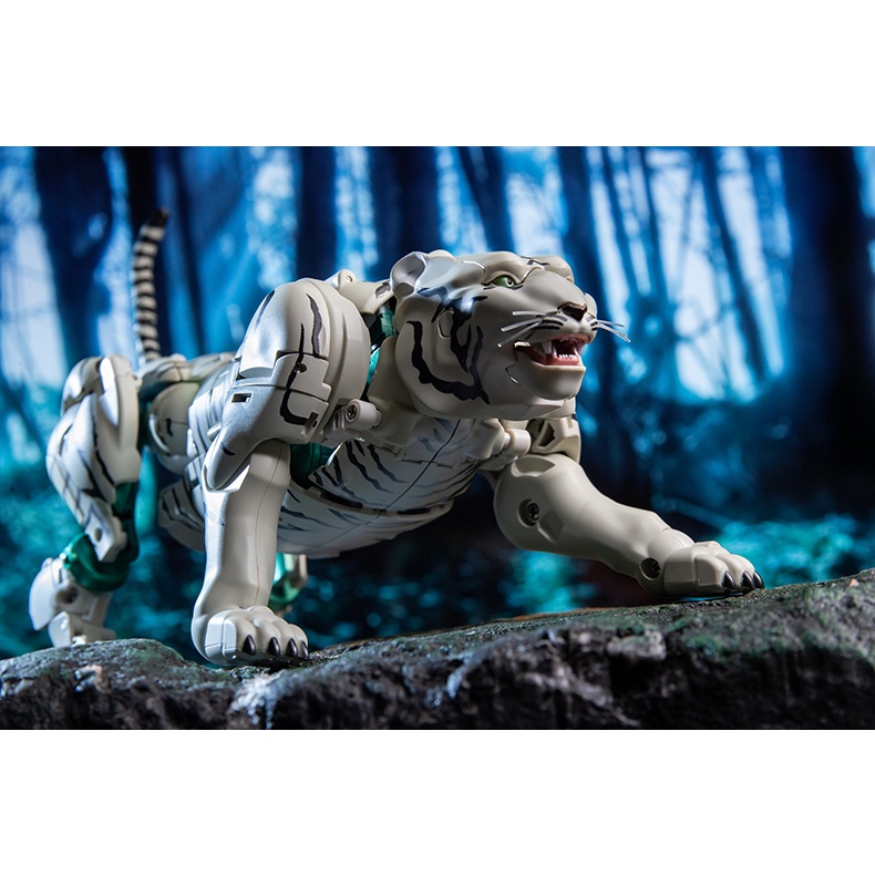 Mô hình Transformers Beast War MP 50 Tigatron KO