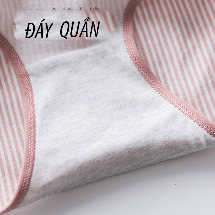 [RẺ VÔ ĐỊCH] Quần lót nữ cotton kẻ kháng khuẩn thun lạnh 🔥FREE SHIP 🔥 Quần chip dễ thương sexxy gợi cảm (6 màu) onhaco | WebRaoVat - webraovat.net.vn