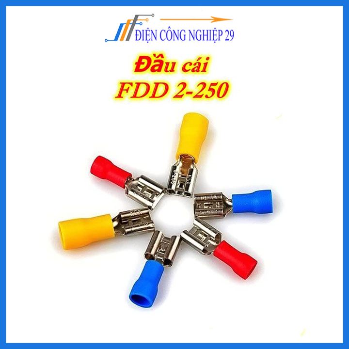 Đầu Cốt Điện-Cốt Chữ T FDD2-250