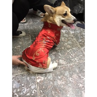 Áo Dài TẾT cho chó/mèo [CÓ BÁN SỈ]