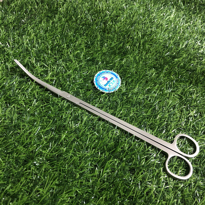 Kéo Thủy Sinh Inox Cong - Thẳng