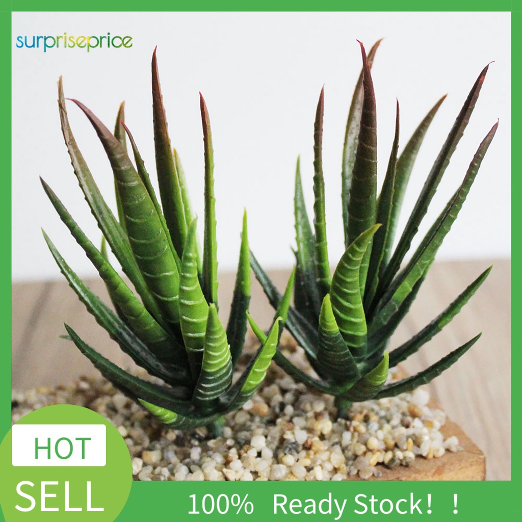 Chậu cây lô hội nhân tạo trang trí bàn DIY tiện lợi