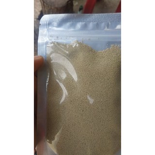 Cám chim hút mật Yan nibass