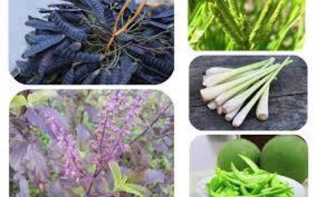 ( chuyên sỉ) Túi lọc bồ kết 20 gói/1 túi dùng dc 1 tháng | BigBuy360 - bigbuy360.vn