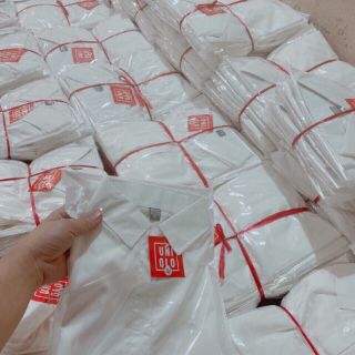 Sỉ áo sơ mi uni siêu đẹp