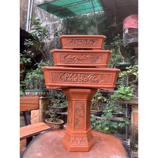 Chậu chữ nhật trồng cây bonsai và đôn kê chậu