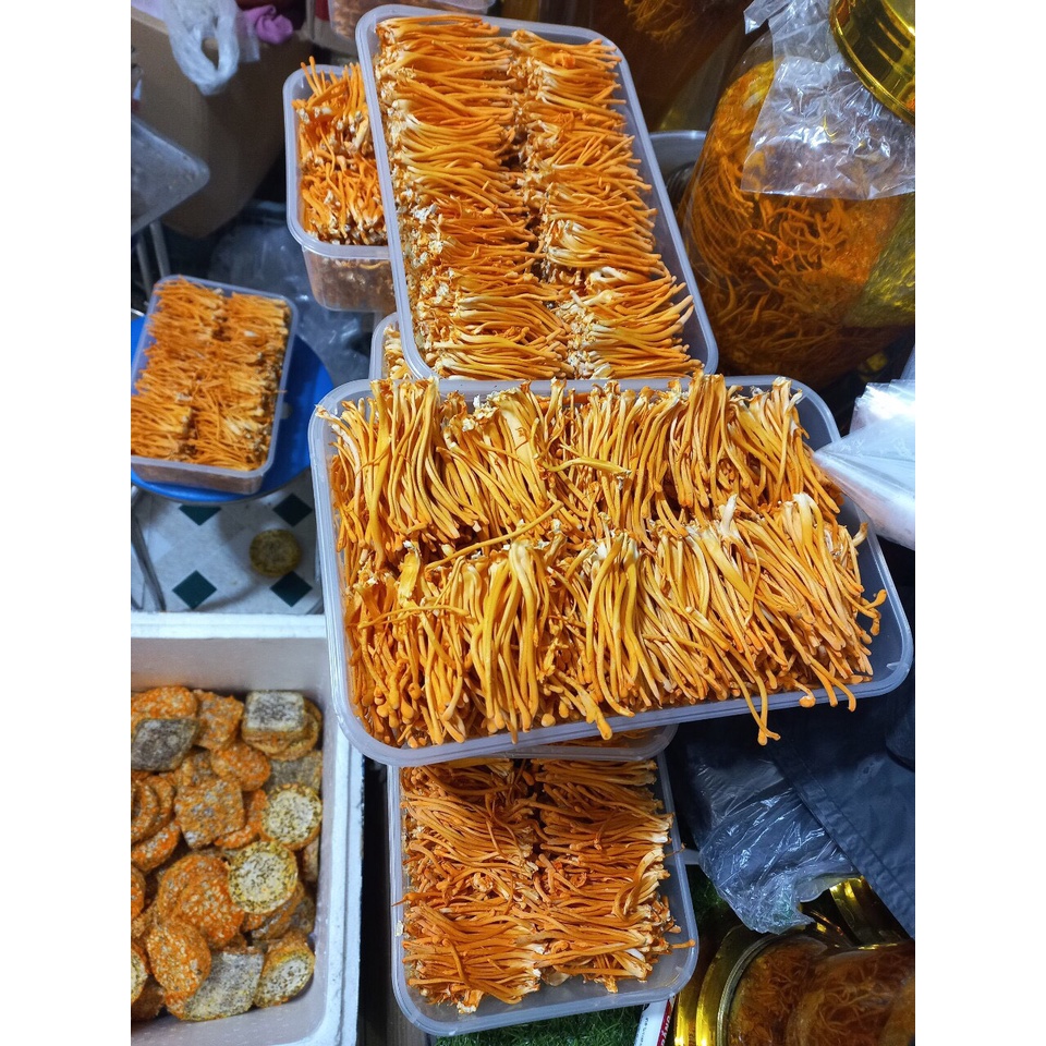 Đông Trùng Hạ Thảo Bio Gold  Sấy Khô Sợi To  Ngon Hàng Cao Cấp Bồi Bổ Cơ Thể