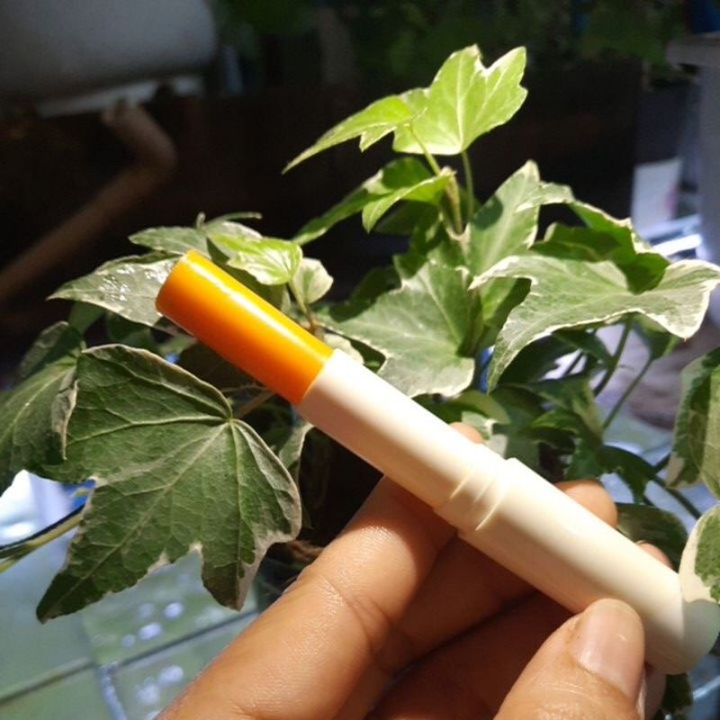 SON DƯỠNG MÔI THIÊN NHIÊN 23k