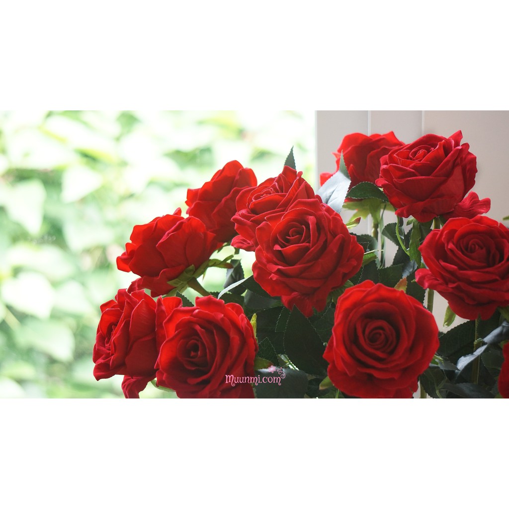 Hoa lụa 🌸  | Hoa Hồng Nhung Đỏ cho không gian đẹp nổi bật quyến rũ