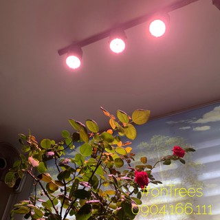 Đèn trồng cây, hoa trong nhà LED grow light 9W (Made in Vietnam)