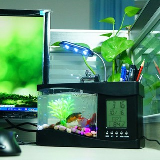 Bể Cá Mini Để Bàn Siêu Dễ Thương + Đồng Hồ