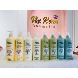 Cặp dầu gội xả Biotin & Collagen Voudioty