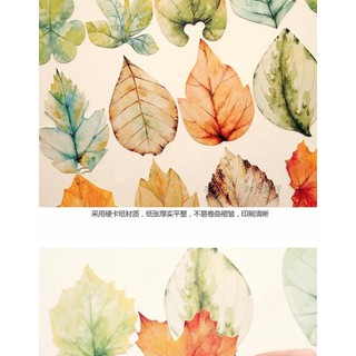 Bộ 30 postcard Nhất Diệp Tri Thu