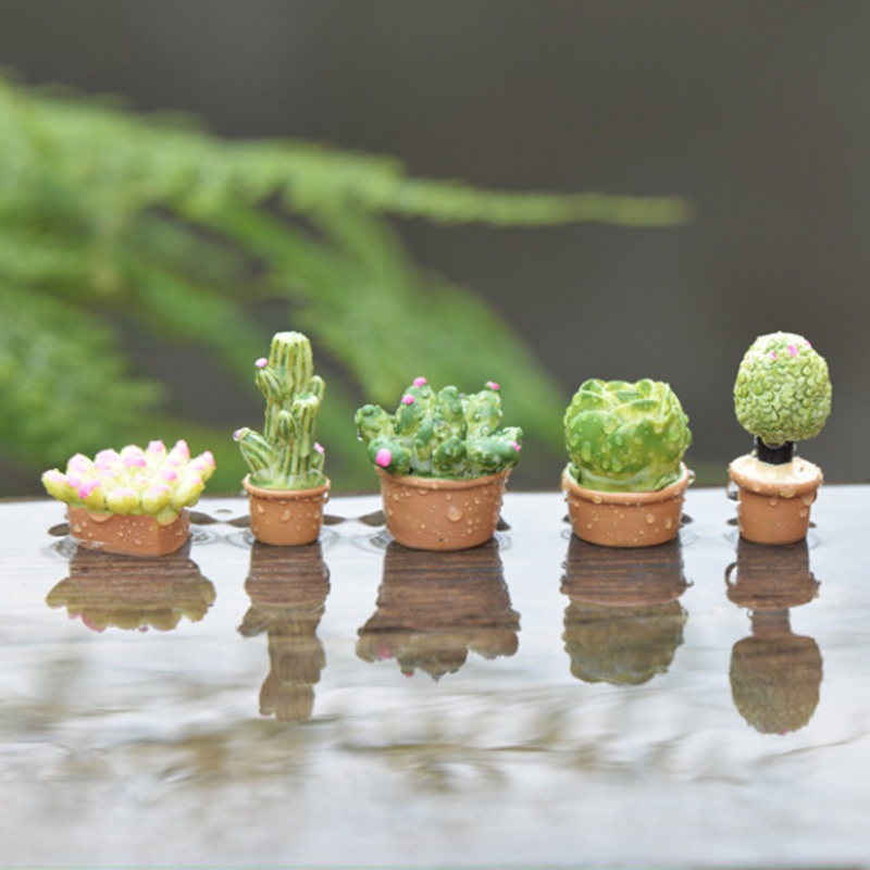 Đồ Trang Trí Hình Cây Xương Rồng Và Hoa Giả Cho Sân Vườn