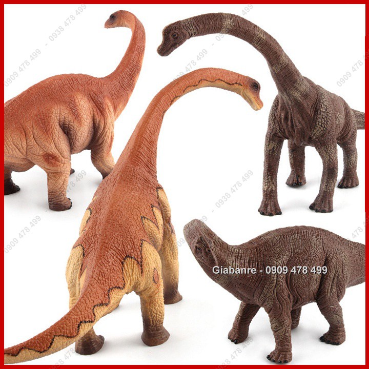 Mô Hình Khủng Long Cổ Dài Brachiosaurus Brontosaurus Apatosaurus - 7747