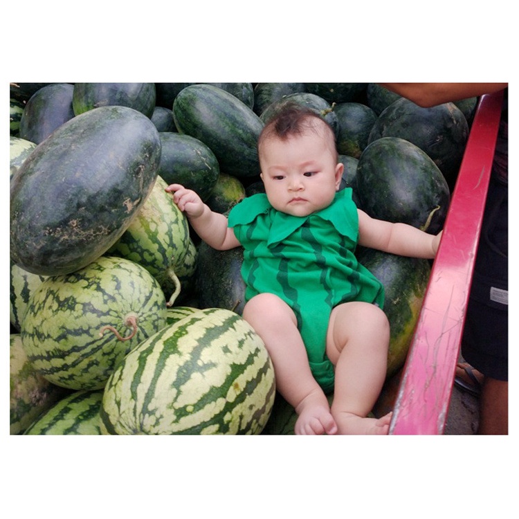 Áo Liền Quần Tam Giác In Họa Tiết Trái Cây Dễ Thương Thời Trang Mùa Hè Cho Bé Sơ Sinh