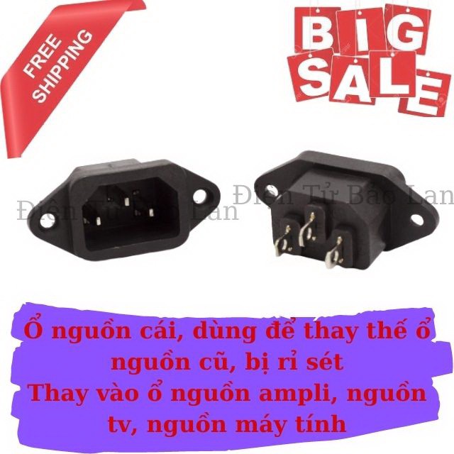 Jack Nguồn AC, Jack Nguồn AC 3 Chân