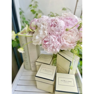 [JO MALONE] NƯỚC HOA JO MALONE - WILD BLUE BELL 30ml