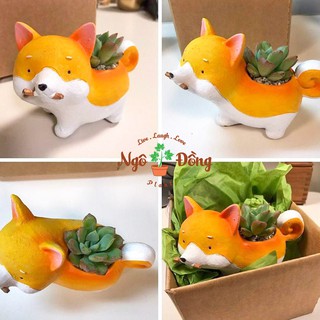 Chậu Cây Sen Đá Xương Rồng Cây Trong Nhà Hình Thú Ngộ Nghĩnh Trang Trí Văn Phòng Góc Học Tập